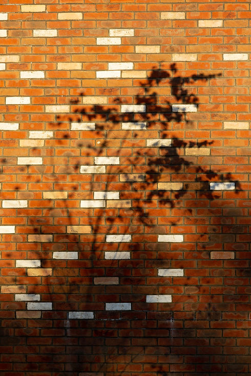 Three-storey Cecil Norris House in Shoreham‑by‑Sea, featuring a distinctive brick façade that transitions from deep red on st