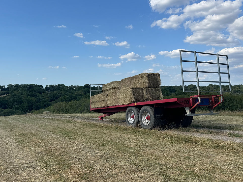 Small Bale Hay