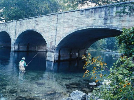       Bennett Spring State Park                         Trophy Trout Fishing in Missouri                                    