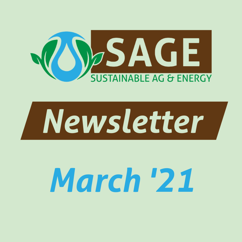 March 2021 Newsletter