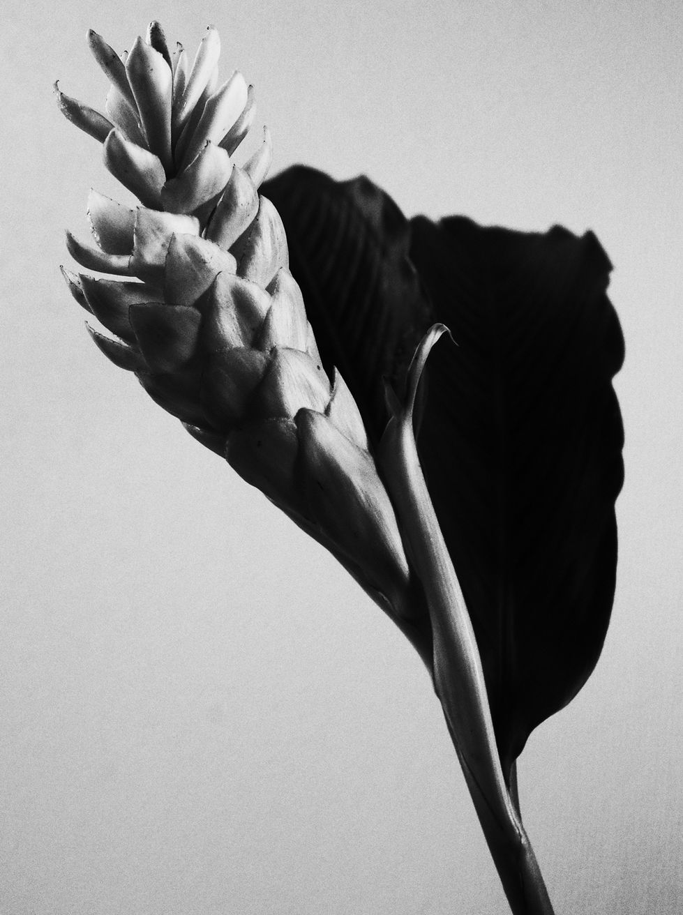 R0003289