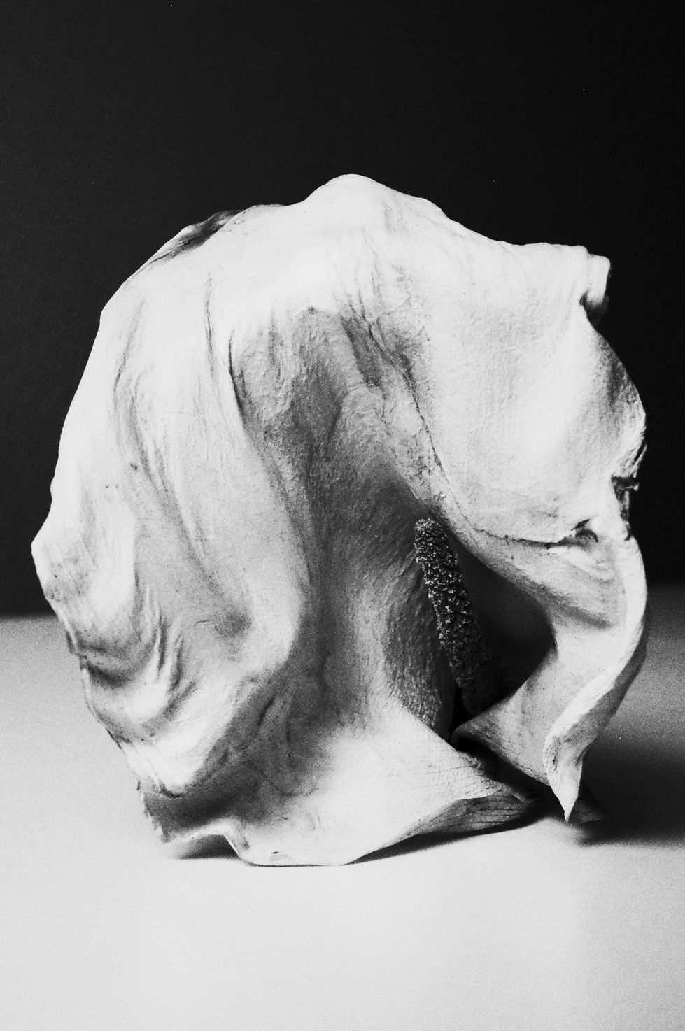 R0001454