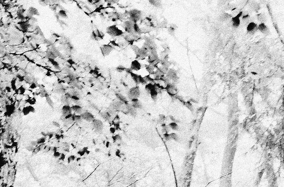R0062911_000