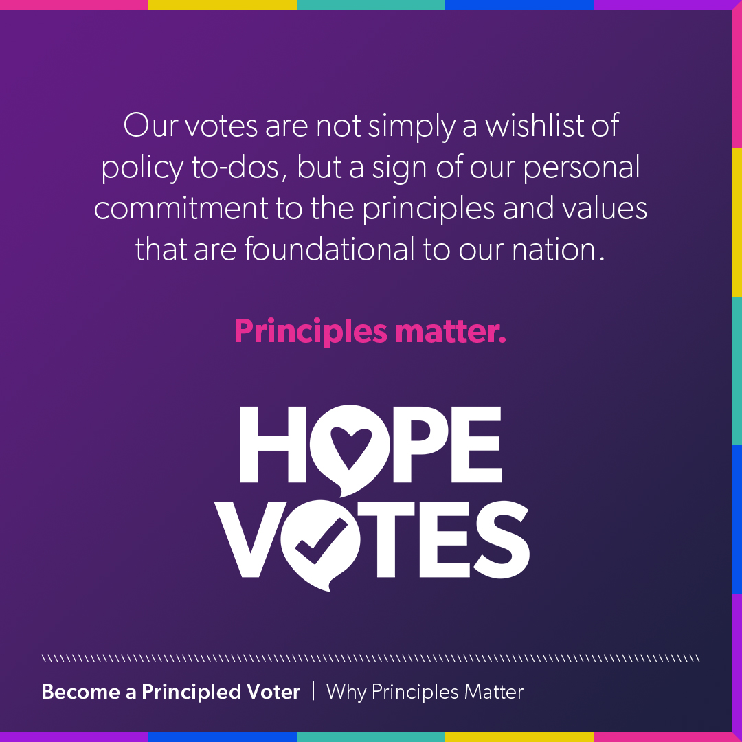 Why Principles Matter