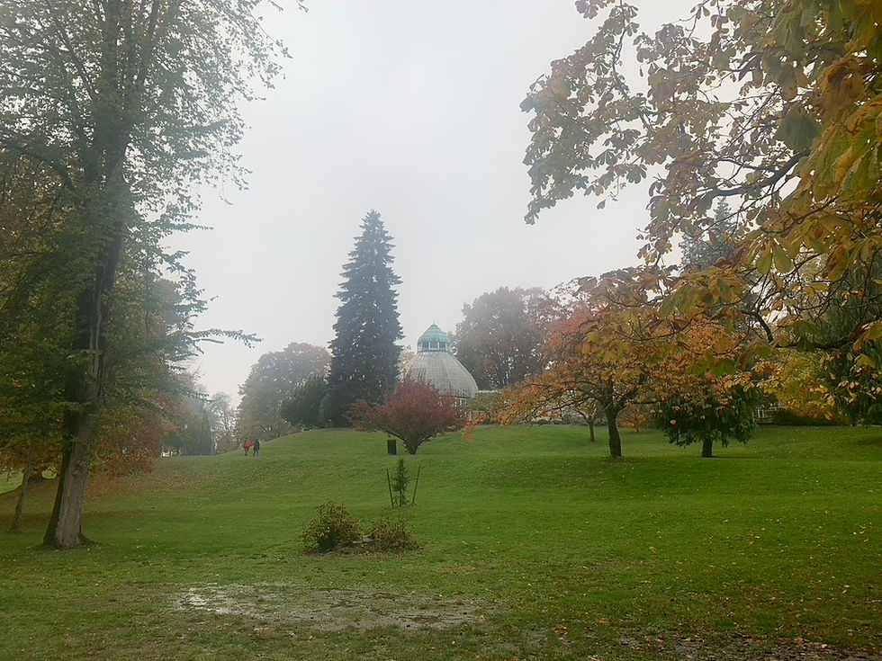 Tacoma’s Park Collection