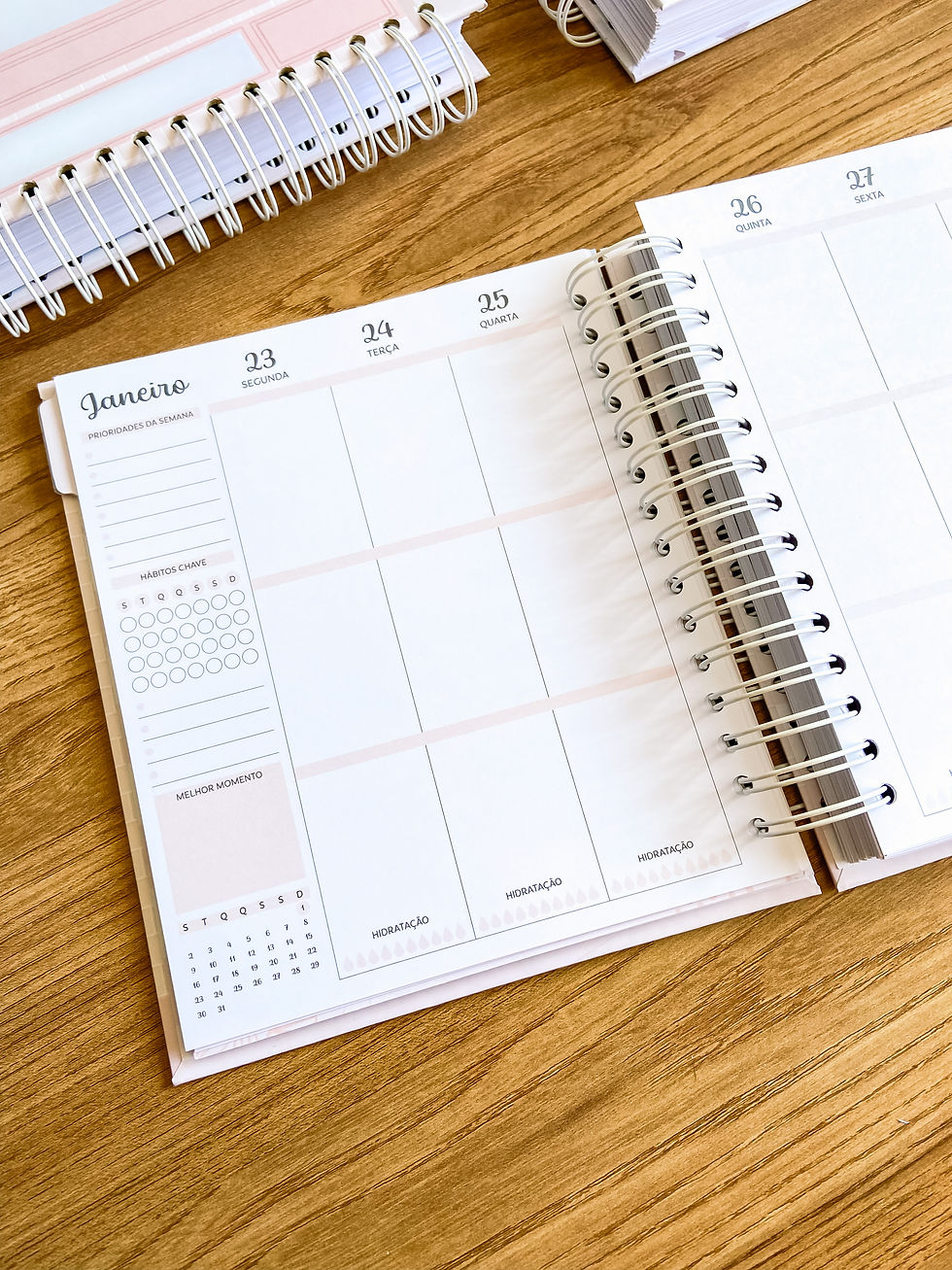 Miniatura: Planner Moon