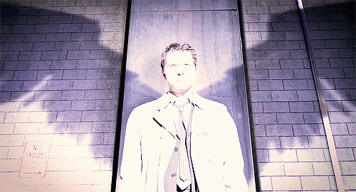 tumblr_3cb2f5775473adf3c39b5d9501430066_ab97df8d_500