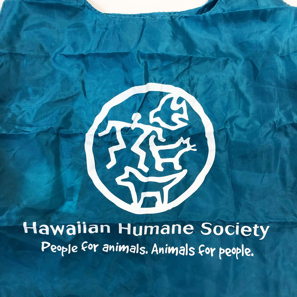 サムネイル： HHS エコバッグ