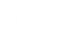 Prancheta 1 cópia 3.png