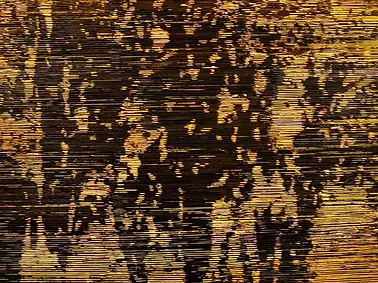 scan_federico-miro_9.webp