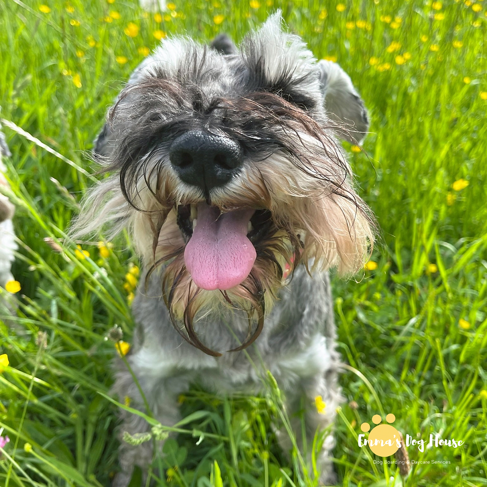 FB6CA04C-9159-44A9-887D-3C2992C5EAA7