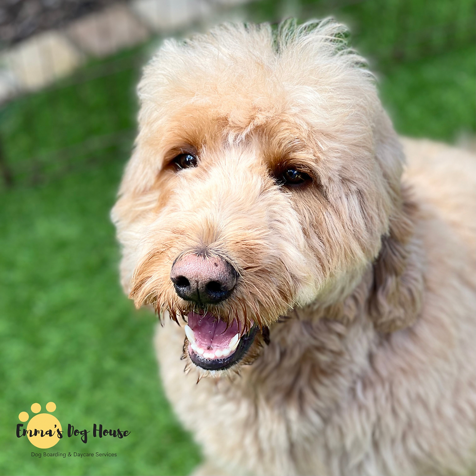 52E189B0-3E89-49FE-B337-512F825BED3D