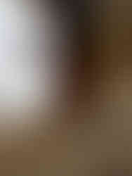 Rolex GMT-Master Exhibition: Time Zone to Time Zone