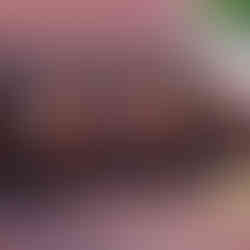 Tri-Hexa Watch Box with the Seiko SKX007, SKX009 and Alba watches