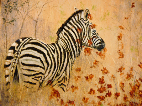 Zebra in the Weeds
