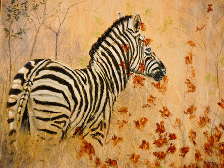Zebra in the Weeds