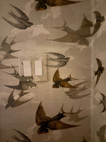 Basement powder bath renovation featuring swallow wallpaper