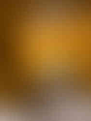 Interior Design Paint colors showing a basement painted BM Golden Retriever