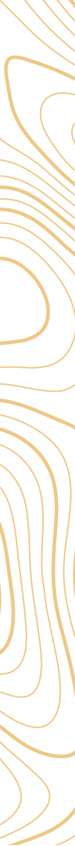frise_coteÌ-jaune.png