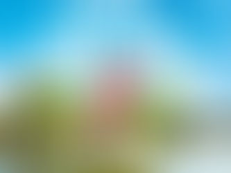 JOUR DE CHER 2021 - Le festival fluvial d' Autour de Chenonceaux