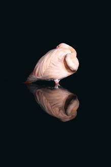 V -20211117-DSC05532.jpg