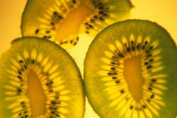 KIWI on light table 3 slices 300dpi