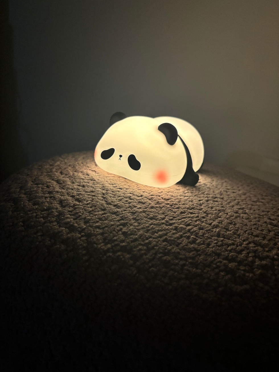 silicone Panda Light prefect for any home to add for home