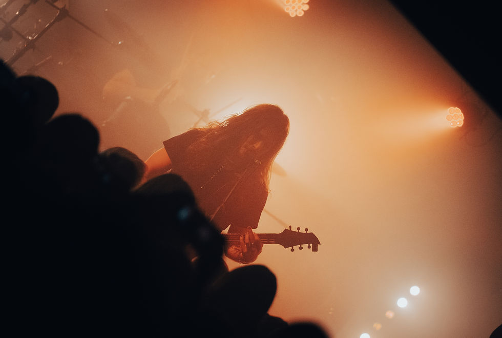 Kozo_09.jpg