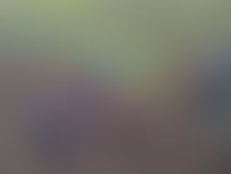 Samen werken aan meer biodiversiteit