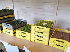We zijn druk bezig in de moestuin