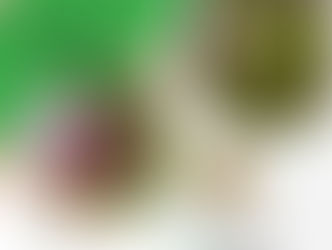 Open Dag 14 juni 2025