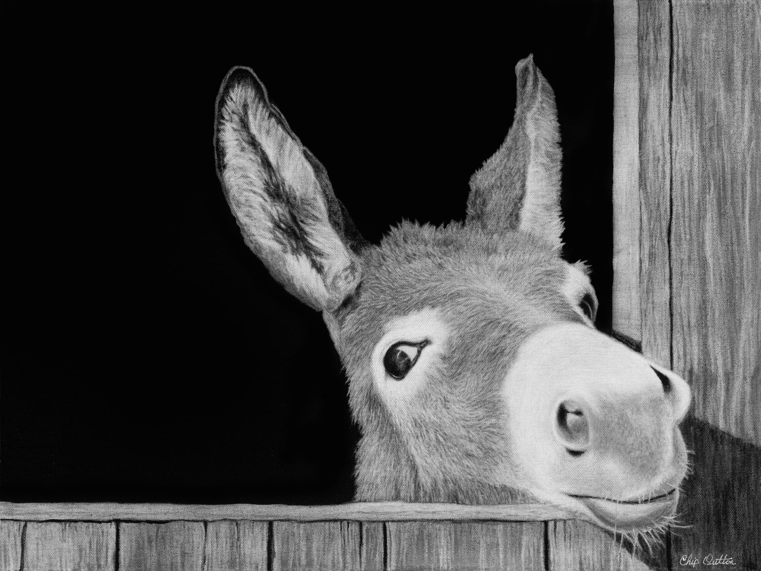 Happy Ass