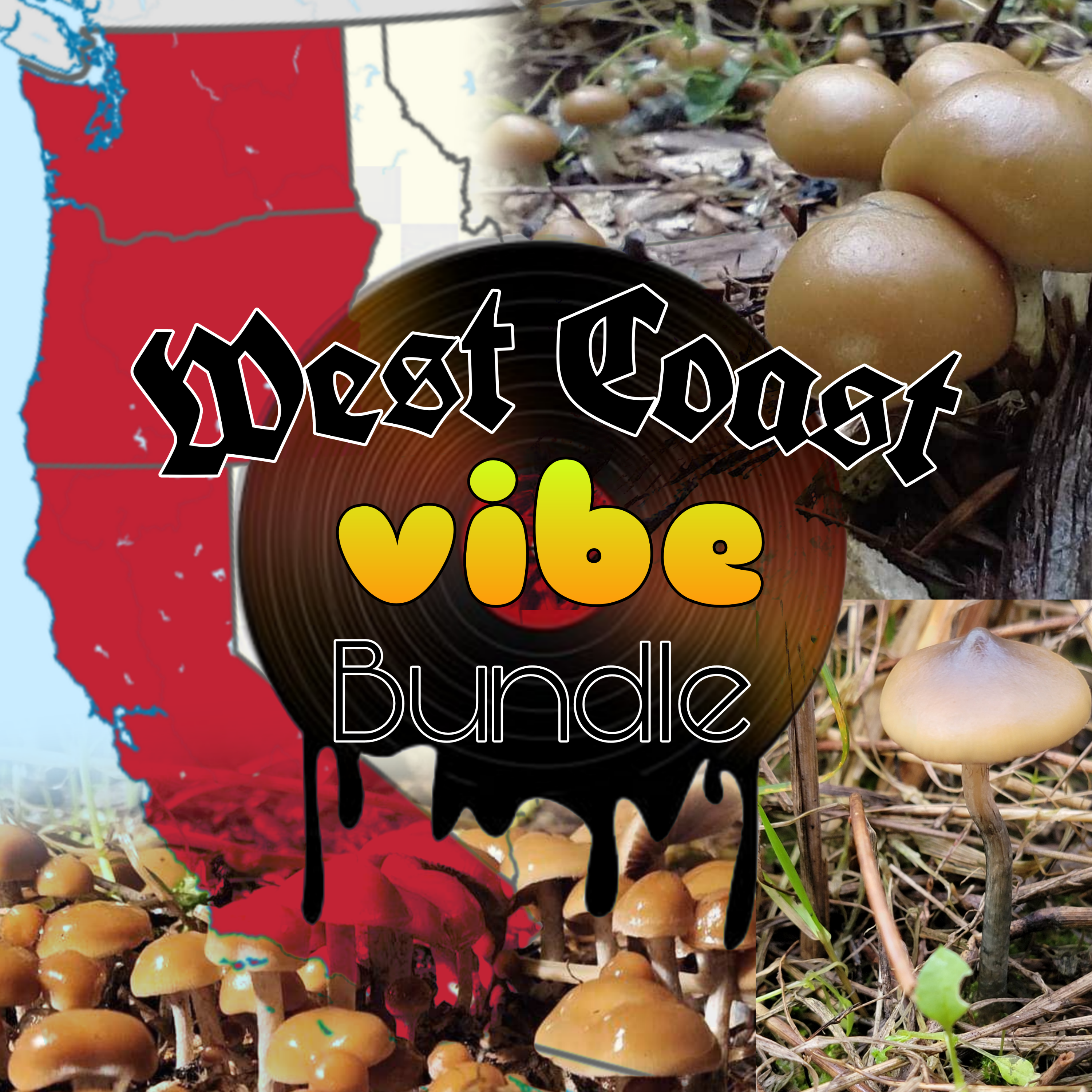 West Coast Vibe Bundle