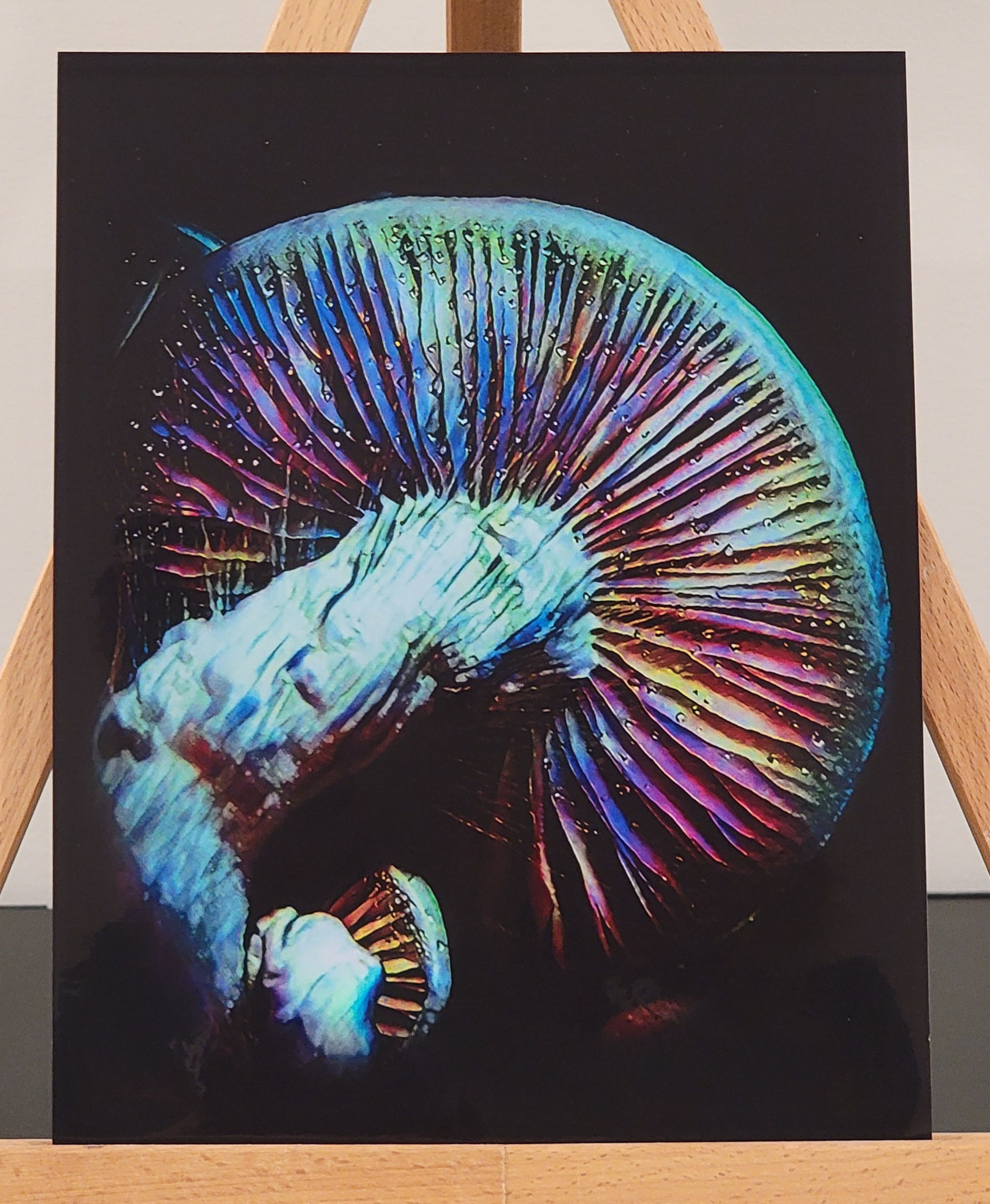 "WTAT Drip" Art Print