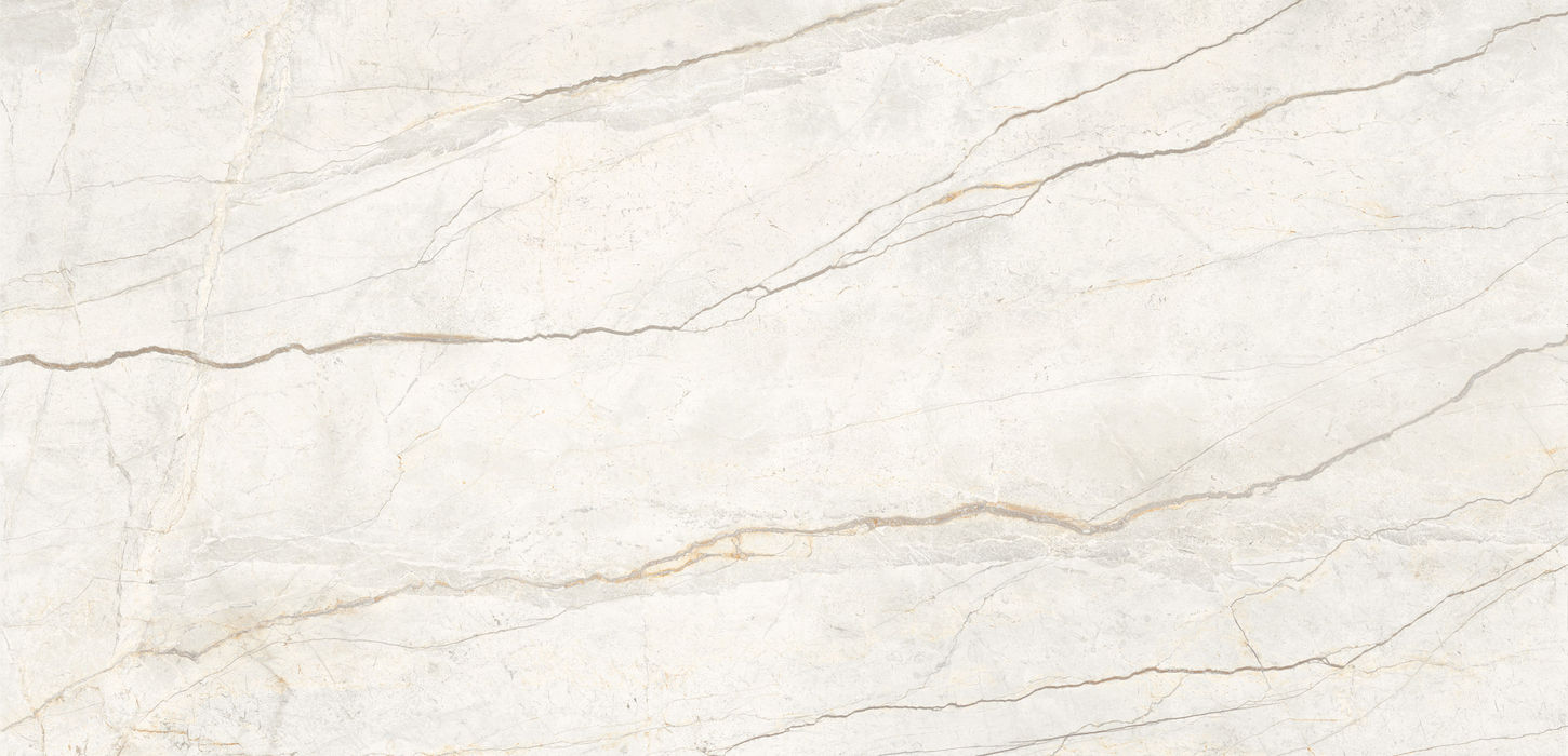 Silver Root White