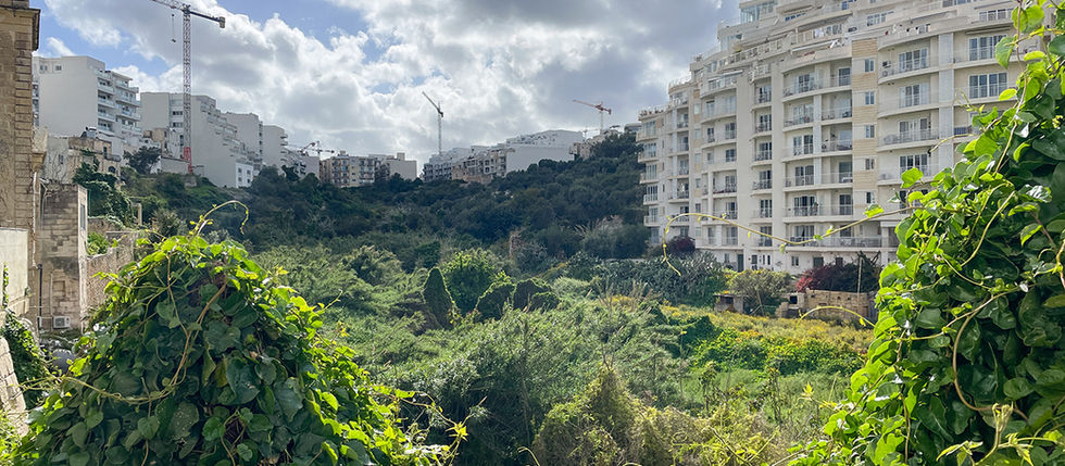 L-ambjent taħt assedju