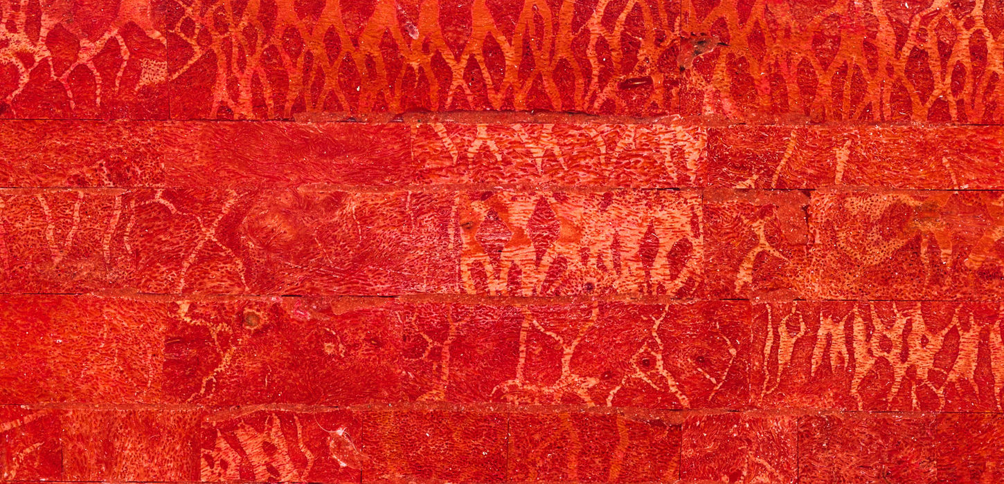 Natural Coral