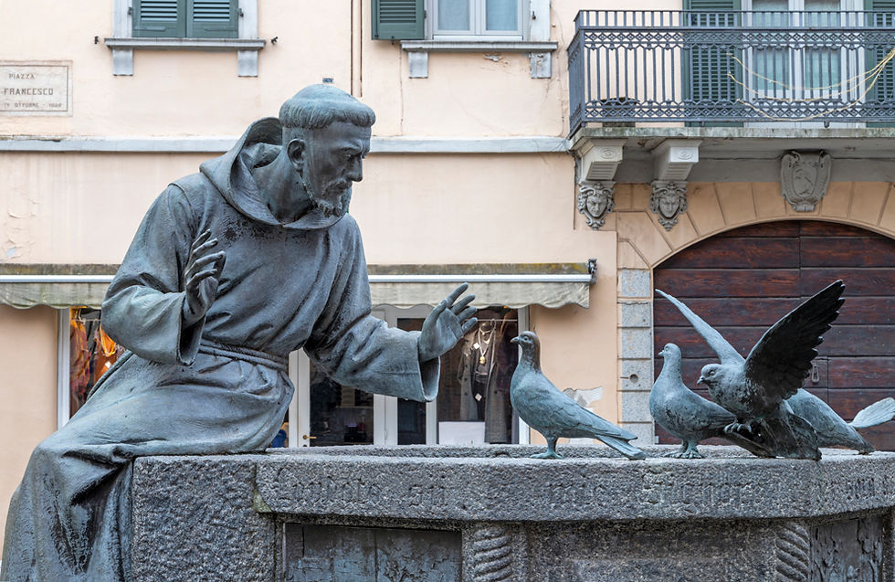 Francis as a mentor?