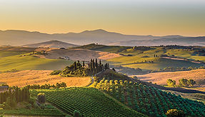 Super-Tuscans – what’s so super?