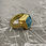 Thumbnail: SFEDONA RING