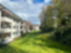 IMG_5395.jpeg