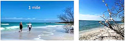 beach photos