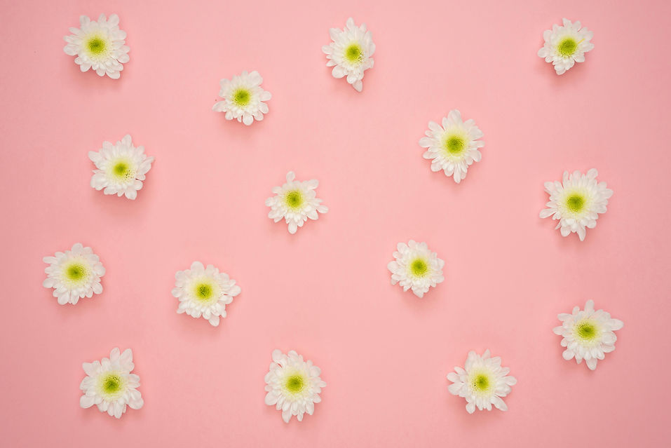 daisybackground.jpg