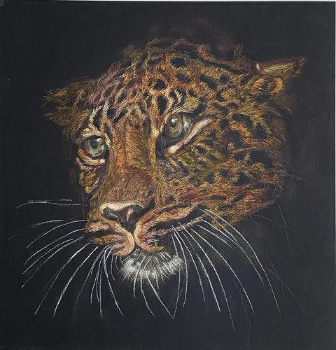 Leopard in Pastel colours.JPEG