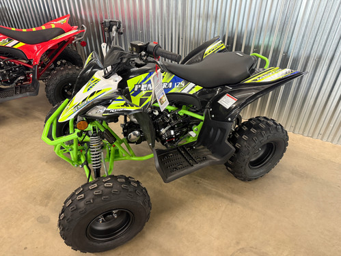 2025 VITACCI PENTORA 125cc YOUTH ATV'S | Mechanical Innovatio