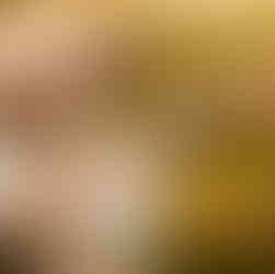 hond, border collie, afscheid van huisdier, hondenfotograaf, fotograaf hond, dierenfotograaf, fotograaf oostkamp