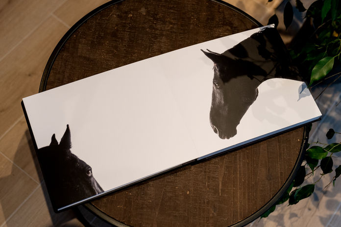 album paard, fotoalbum, paardenfoto, paardenfotoshoot, paardenfotografie, herinneringen paard, afscheid van je paard, waardevol afscheid nemen, paard cremeren, paard ophalen, dood paard cremeren, paard inslapen, paard laten inslapen, fotografie, fotograaf, paardenfotograaf, fotograaf west-vlaanderen, fotograaf oostkamp, alison becu, Afscheid nemen van je paard