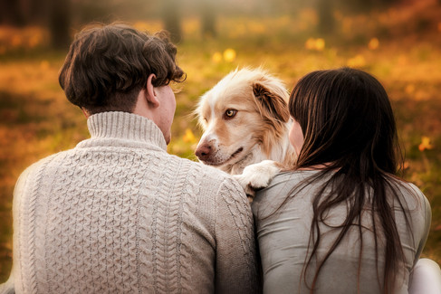 hond, border collie, afscheid van huisdier, hondenfotograaf, fotograaf hond, dierenfotograaf, fotograaf oostkamp
