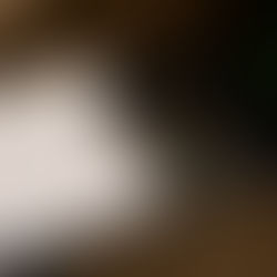 Fotoalbum, fotoboek, fotoalbum paard, afscheidsfotoshoot paard, afscheid nemen van je paard, paard laten cremeren, paard laten inslapen, paard laten ophalen, dood paard, ziek paard, inslapen paard, paardenfoto, paardenfotoshoot, fotoshoot paard, paardenfotografie, herinneringen, fotoalbum, fotoproducten, alison becu, alisonbq, fotograaf west-vlaanderen, fotograaf oostkamp, fotograaf brugge