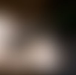 Fotoalbum, fotoboek, fotoalbum paard, afscheidsfotoshoot paard, afscheid nemen van je paard, paard laten cremeren, paard laten inslapen, paard laten ophalen, dood paard, ziek paard, inslapen paard, paardenfoto, paardenfotoshoot, fotoshoot paard, paardenfotografie, herinneringen, fotoalbum, fotoproducten, alison becu, alisonbq, fotograaf west-vlaanderen, fotograaf oostkamp, fotograaf brugge